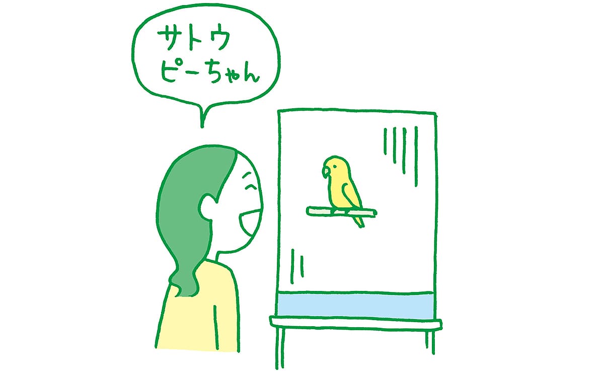 鳥のおしゃべりトレーニング