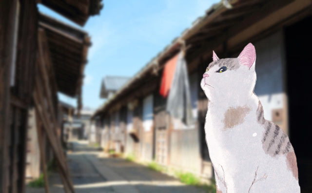 江戸の長屋で一番偉い猫のお話です