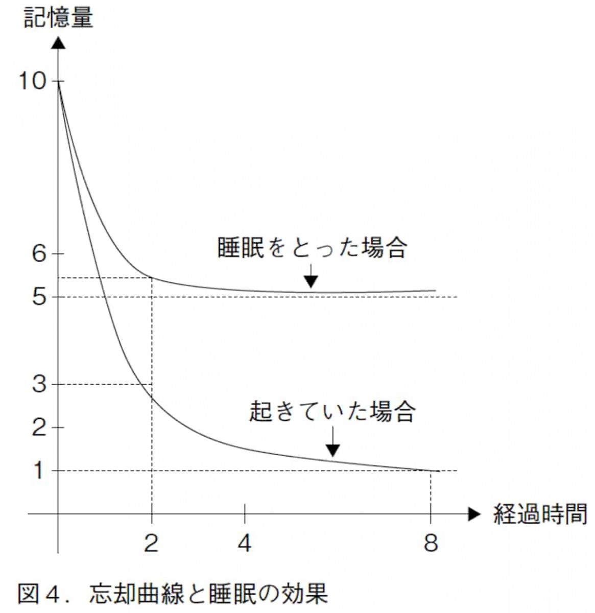 忘却曲線と睡眠の効果