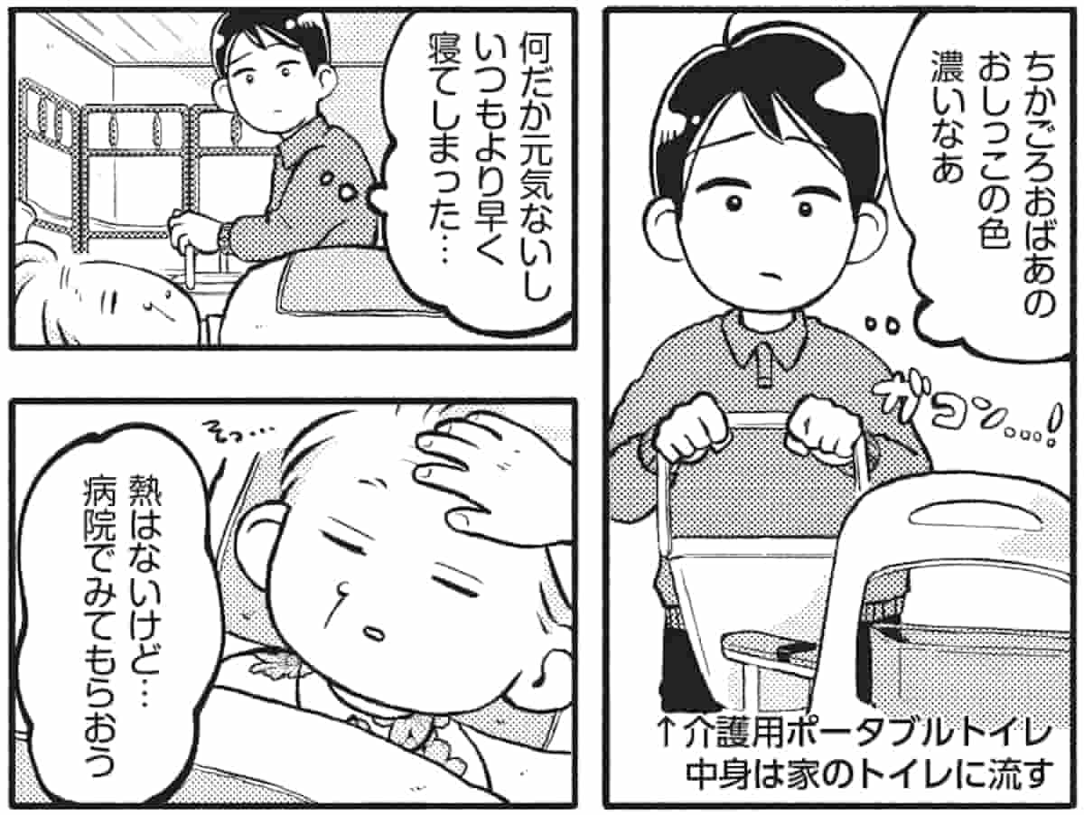 おばあと孫のボケ・ つっこみ介護日記1