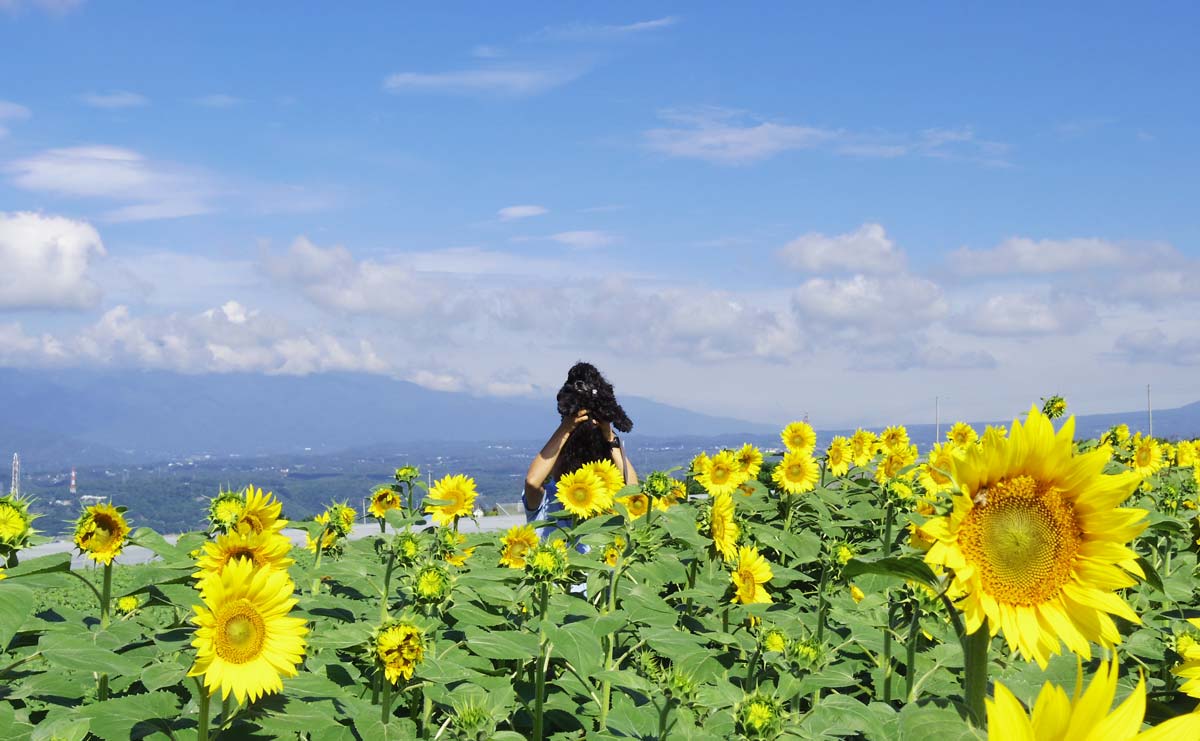 40代、夫が突然がんになった...置き去りにされた「リタイヤ後の北海道一周」の約束（連載「夫を失うということ」第1話）のサムネイル