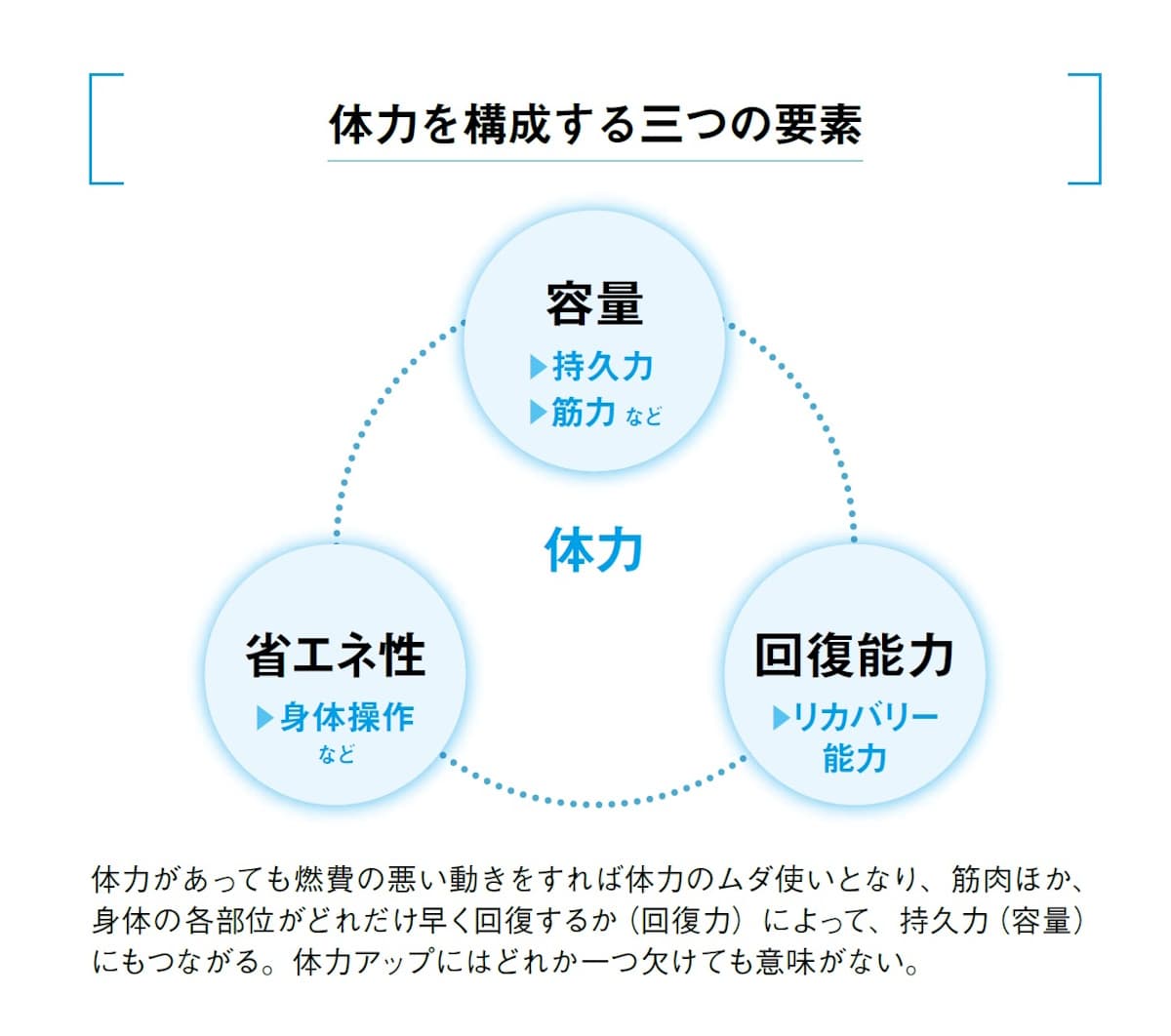 体力を構成する3つの要素