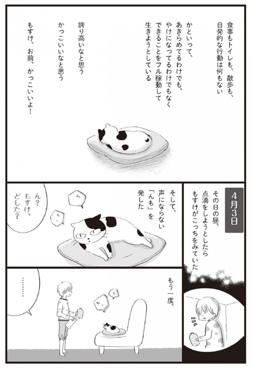 まんが：ななおん