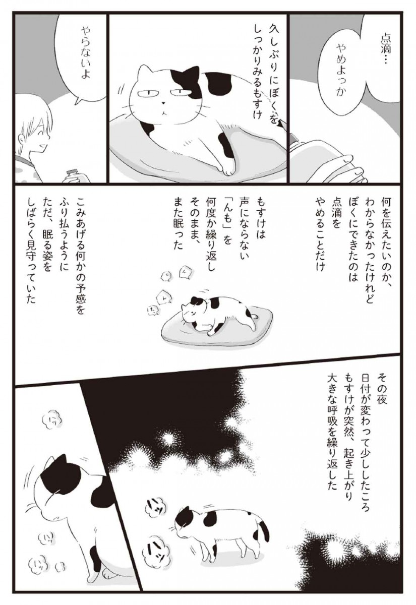 まんが：ななおん