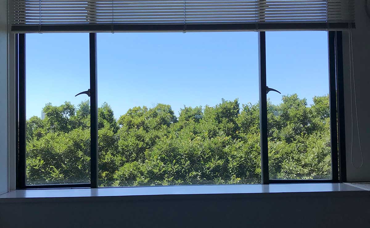 「ここにいたほうがいい?」がんが発覚した夫と戸惑う妻　迷いながら見つけた二人の時間（連載「夫を失うということ」第5話）のサムネイル