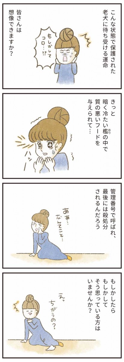 たまさんちのホゴイヌ