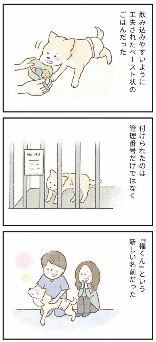 たまさんちのホゴイヌ