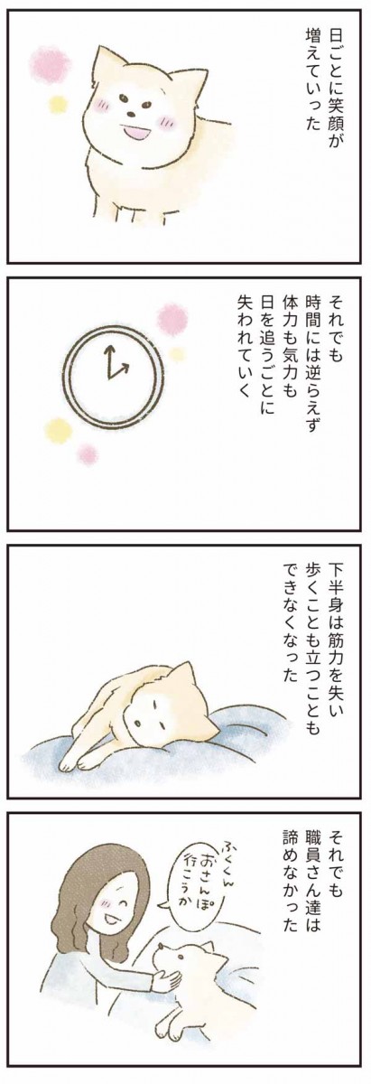 たまさんちのホゴイヌ