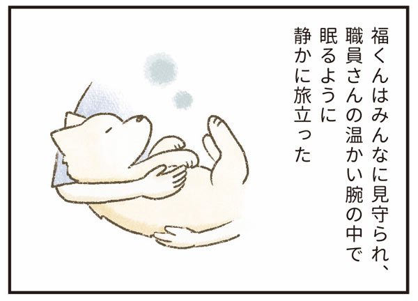 たまさんちのホゴイヌ