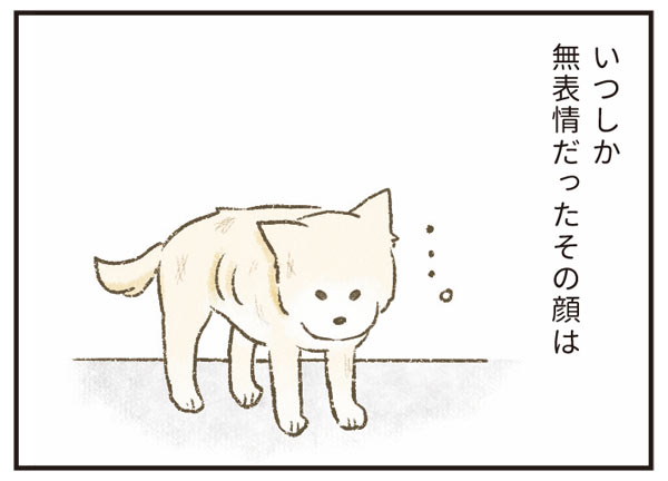 たまさんちのホゴイヌ