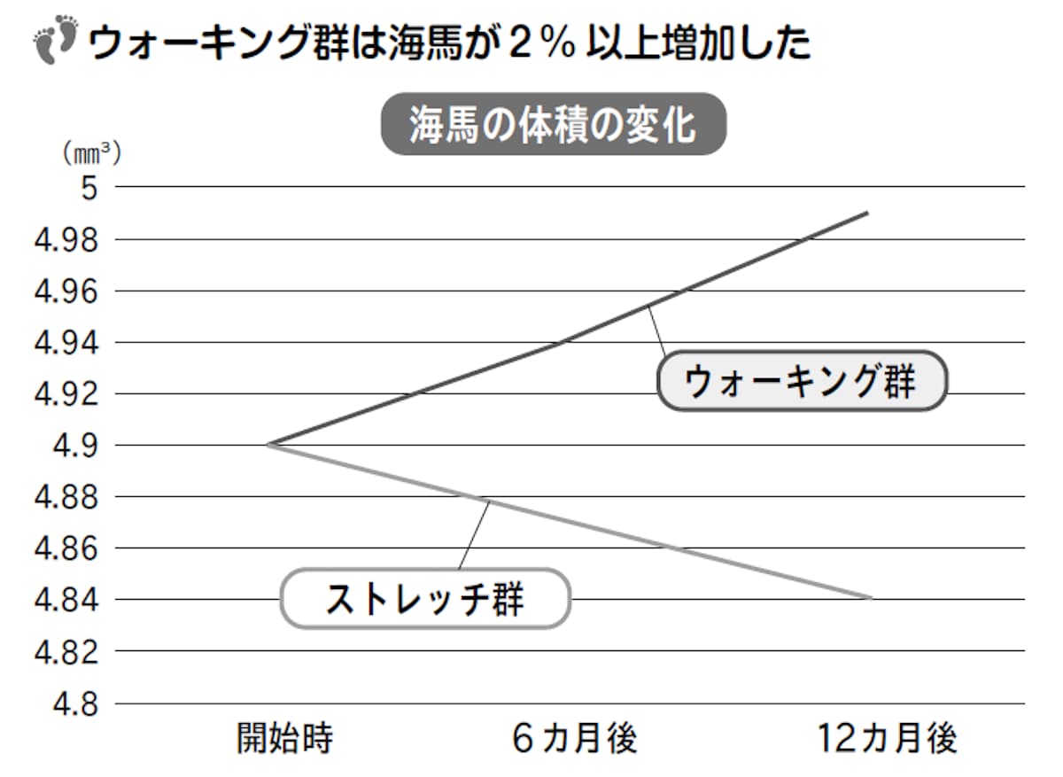 ウォーキング群は海馬が2パーセント以上増加した