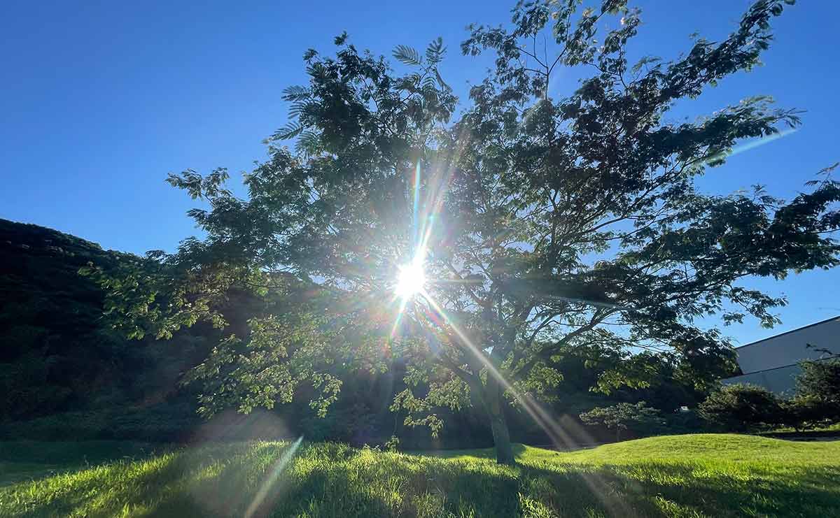 「絶対大丈夫」「がんに勝てる」4年前にがんで夫を失った女性が、今も感じる不安（連載「夫を失うということ」第14話）のサムネイル