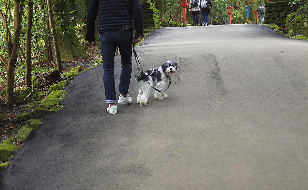 がん患者は温泉もマッサージ機もNG?　夫の闘病で知った“癒し”の壁（連載「夫を失うということ」第17話）のサムネイル