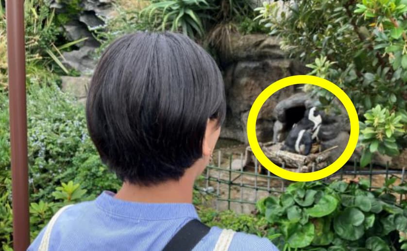 サンシャイン水族館