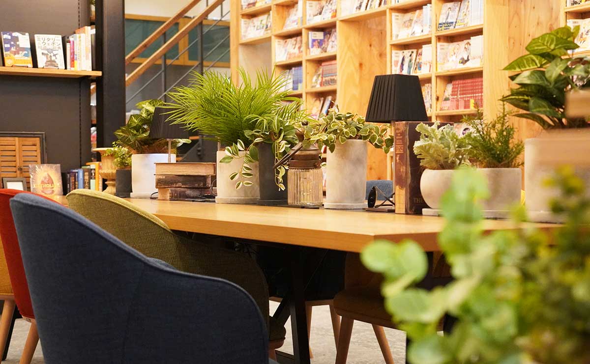 CREATORS LOUNGE ZENON