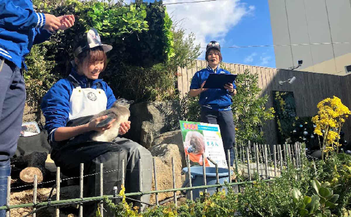 サンシャイン水族館のスタッフ