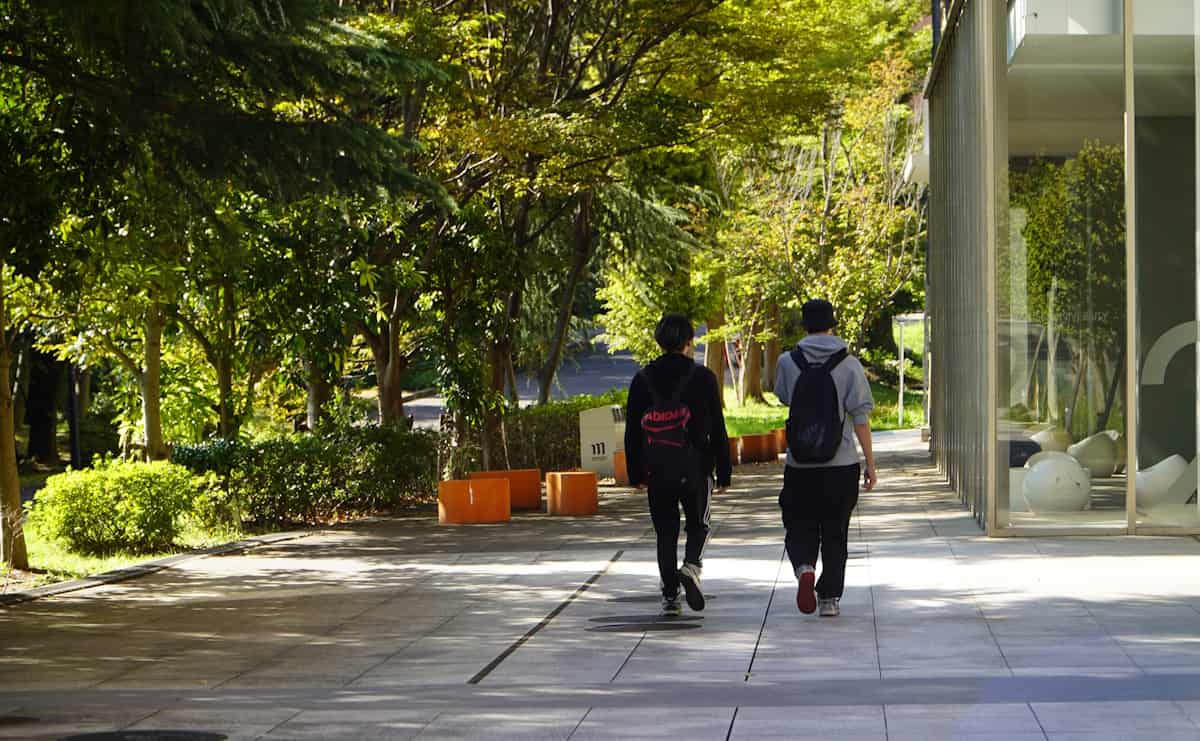 「私立大学3割消滅の時代」をどう生きるか　明星大学の地域密着戦略のサムネイル