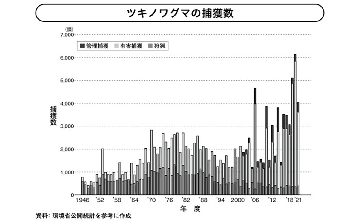ツキノワグマの捕獲数
