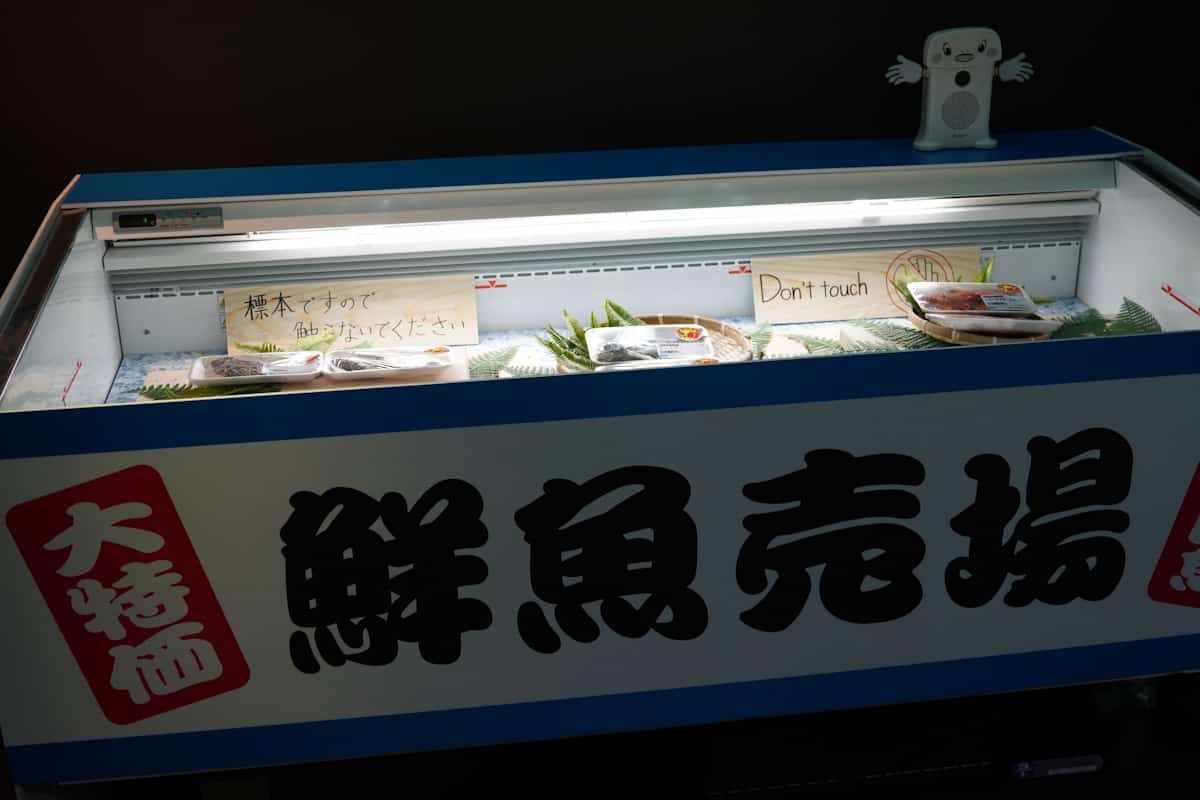 未利用魚のコーナー