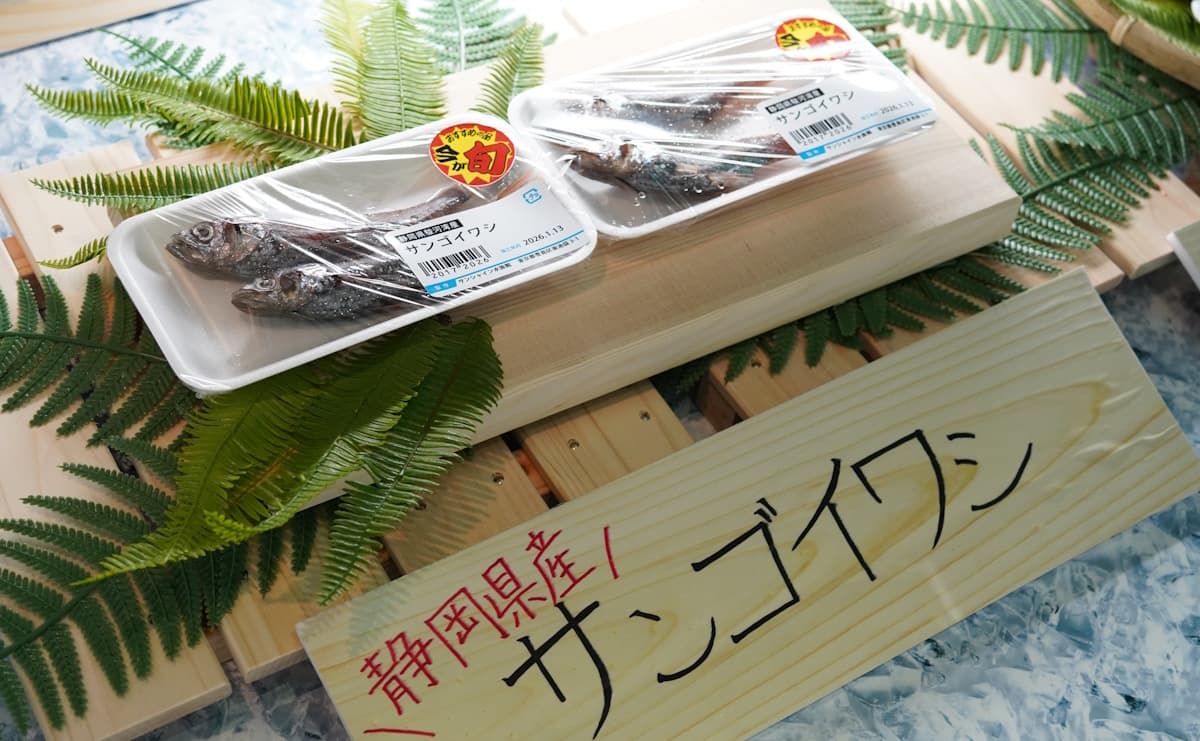 深海生物を飼育スタッフが料理してみた！深海エビチャーハンって一体どんな味？のサムネイル