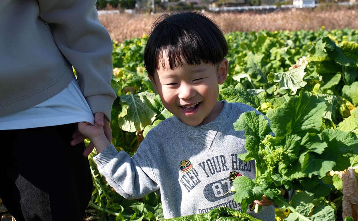 南房総　菜花収穫体験