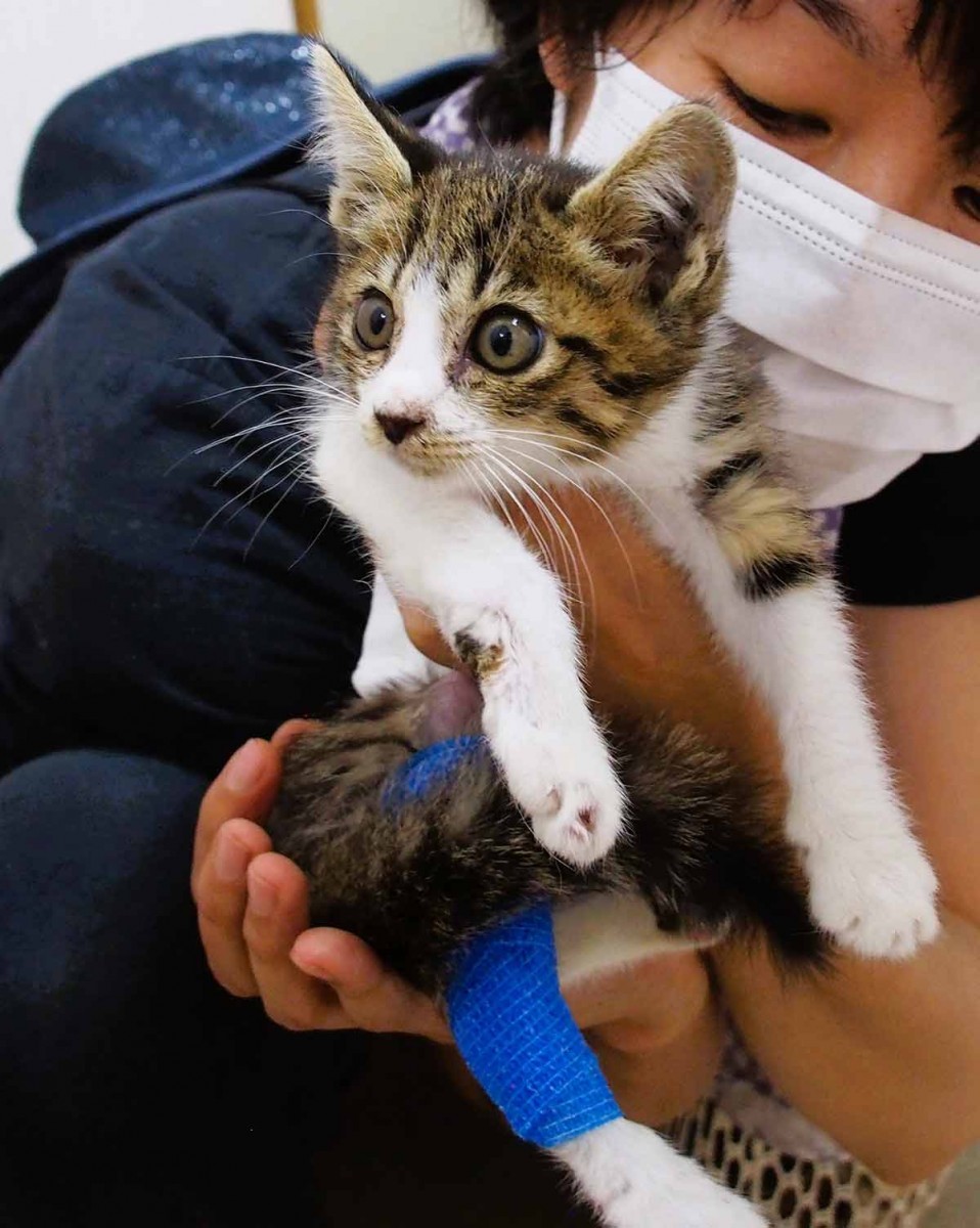 大怪我を負っていた包帯時代