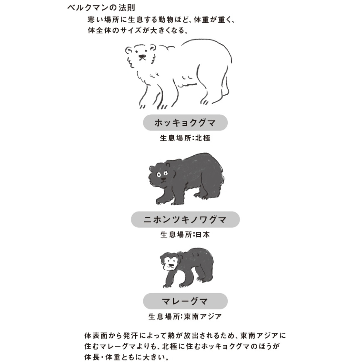 澤田涼著『東大研究員がゼロから考えてみた「宇宙の常識」』