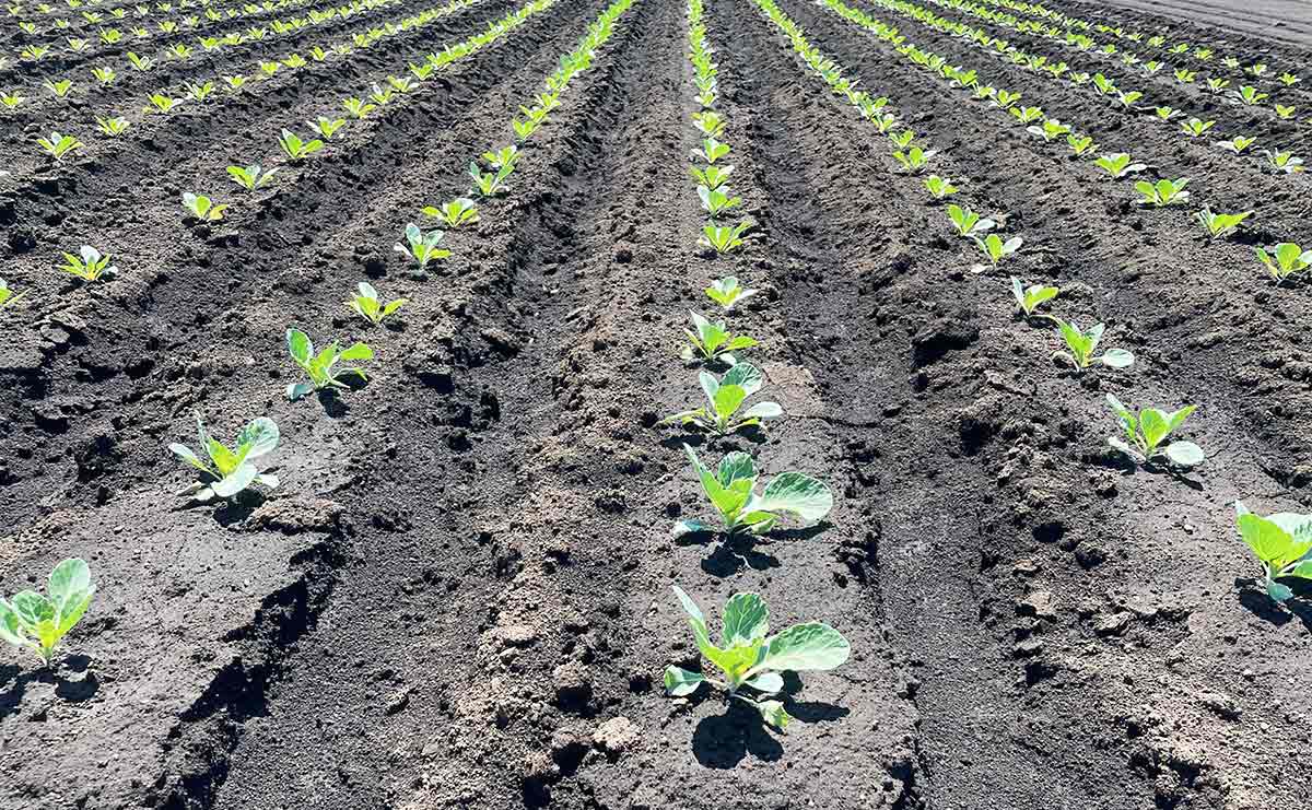 「後ろ盾なしで家を借りられるのか」夫亡き後の引っ越し、不安の先にあった“私の居場所”（連載「夫を失うということ」第31話）のサムネイル