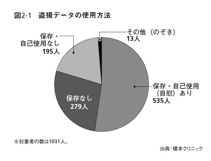 盗撮データの使用方法　グラフ