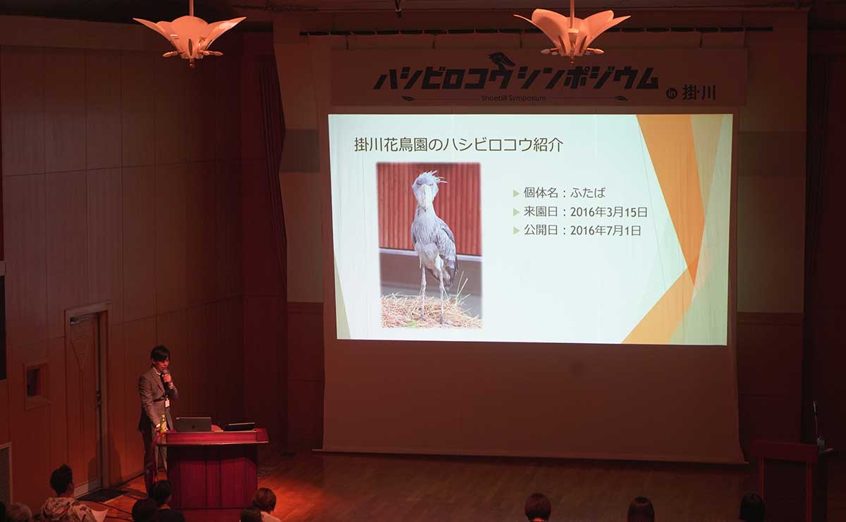 ハシビロコウシンポジウム