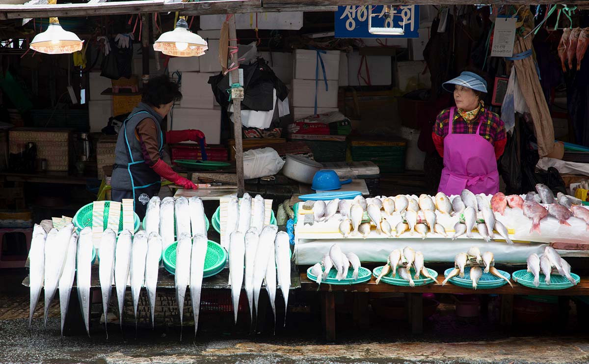 冷凍施設のない魚屋