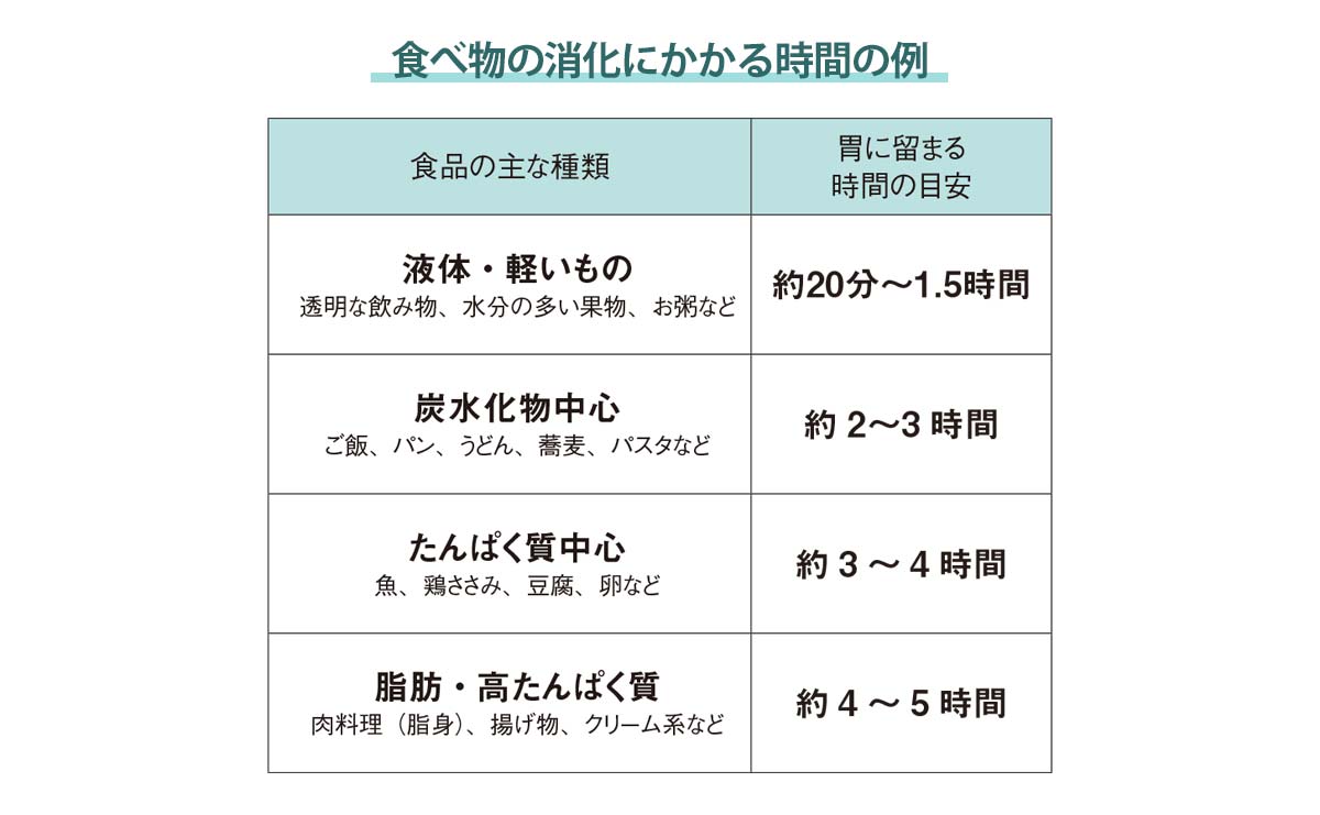 食べ物の消化にかかる時間