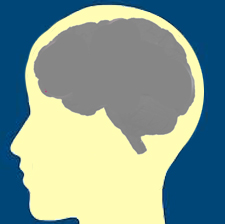 脳番地で脳力強化（２）脳番地を鍛えるトレーニング
