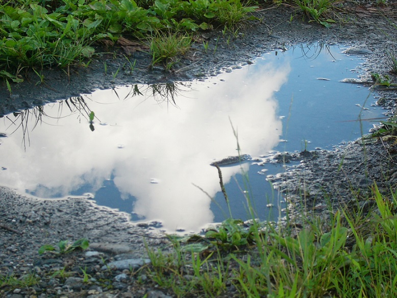 雨が降る前に頭痛がするのはなぜ！？