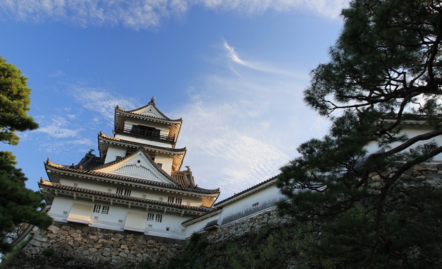 高知城が「日本唯一の城」である理由