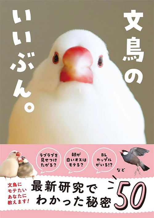 文鳥のいいぶん。