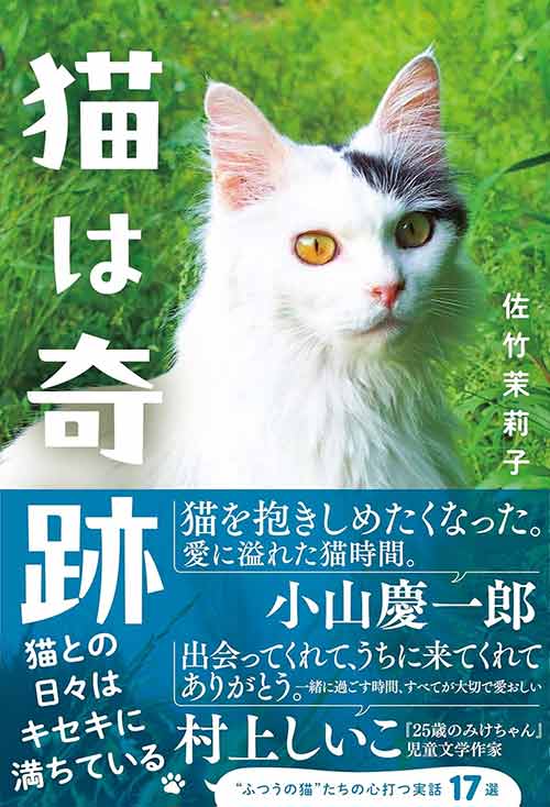 猫は奇跡