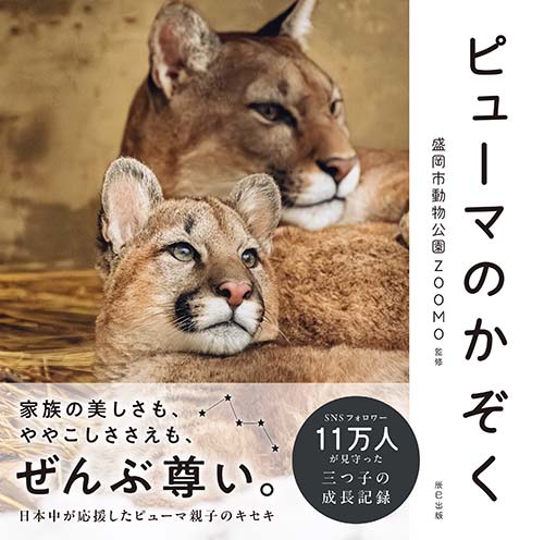ピューマのかぞく
