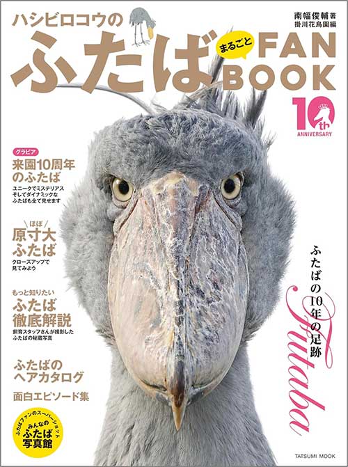 ハシビロコウのふたばまるごとFANBOOK