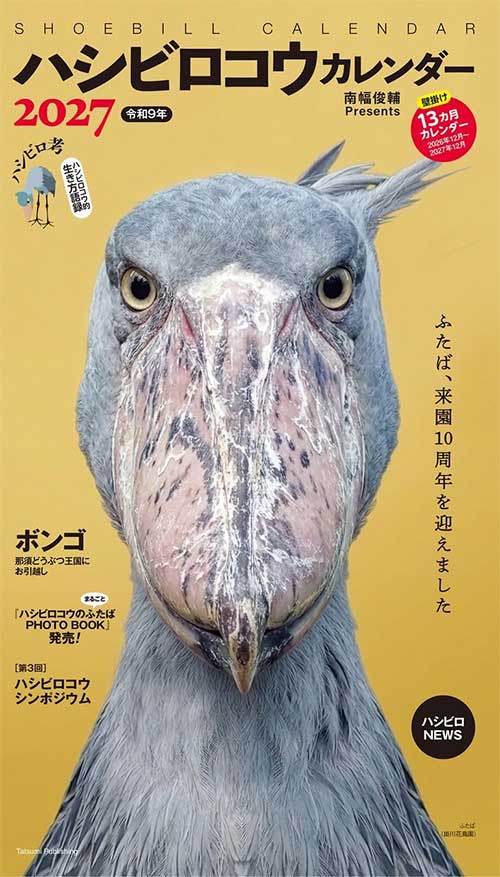 2027 ハシビロコウカレンダー