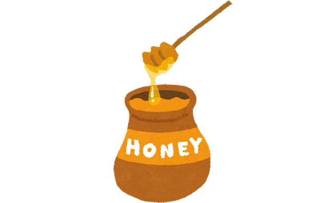 ハチミツの効能とは～脳の栄養・もの忘れに効く！のサムネイル
