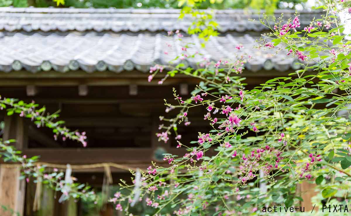 彬子女王殿下が、京都の街で「好きな通り」は、寺町通