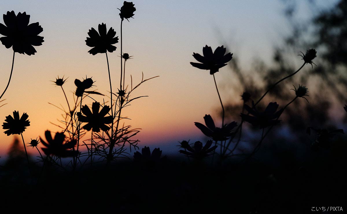 BTSのRMも読んだエッセイ　「死」をきっかけにみつめた喪失と悲しみ、そして小さな希望のサムネイル