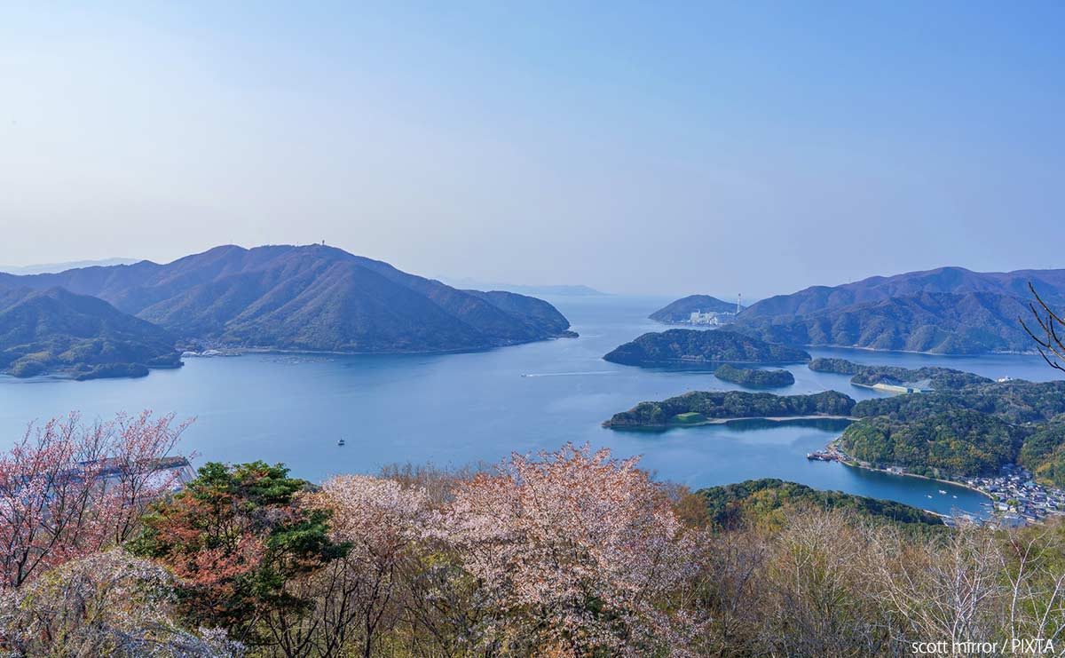 「戦争に勝ったからといって、威張るんじゃない」進駐軍の日系兵が直面した母からの拒絶のサムネイル