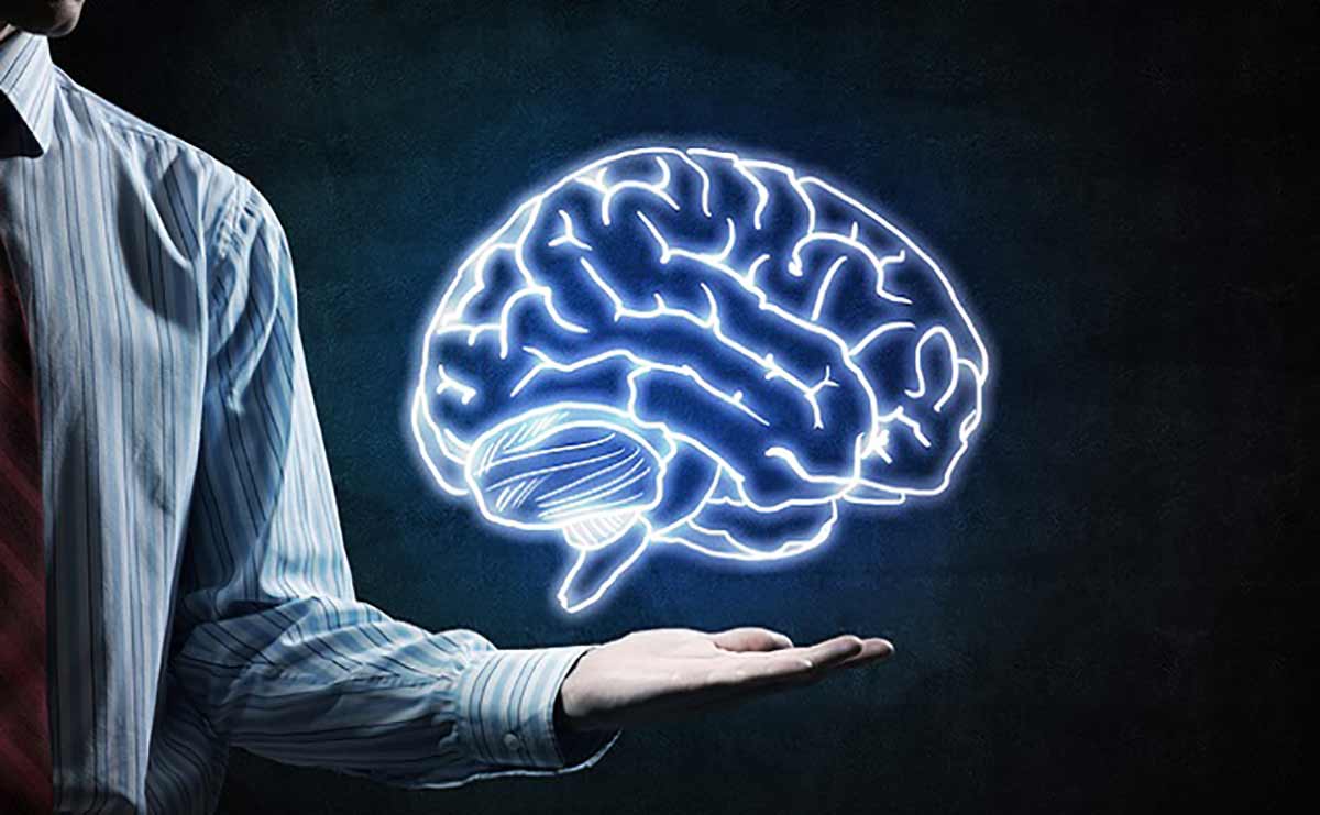 視覚や感情を生む「脳の推論」とは? 脳科学者が明かす認識の真実のサムネイル