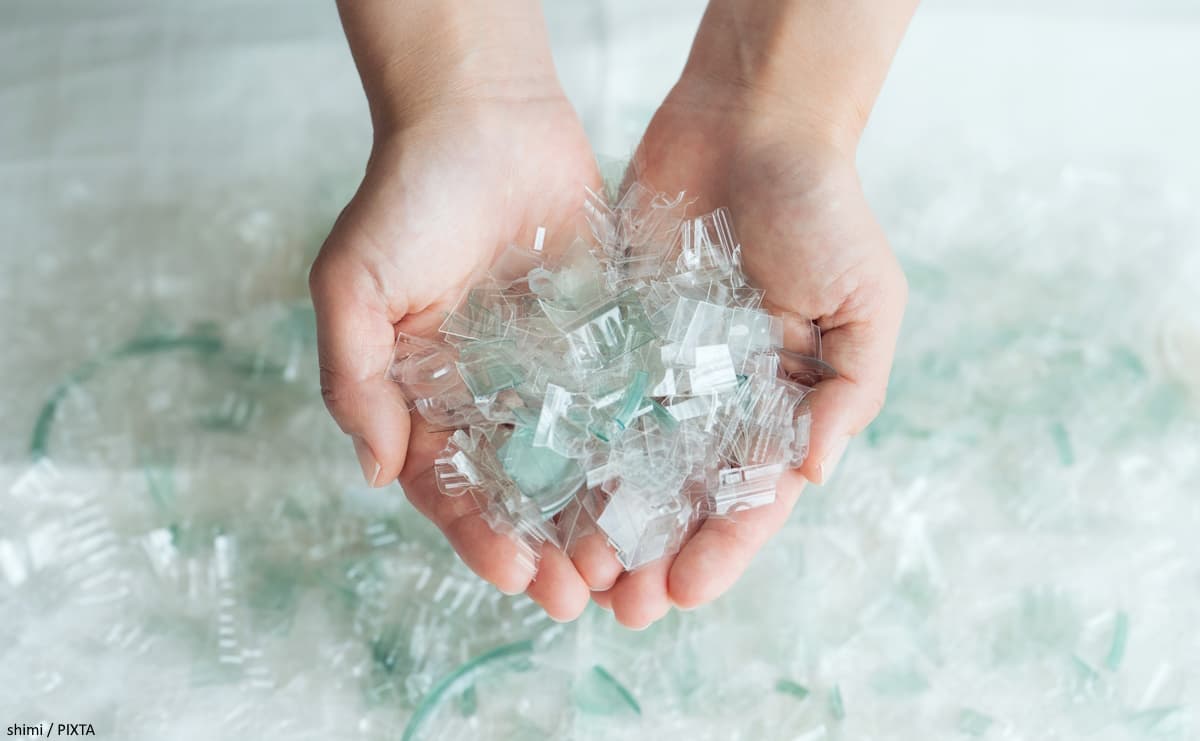 ゾウの乱獲を防いだ「プラスチック」発明の歴史と、150年後に訪れた深刻な問題のサムネイル